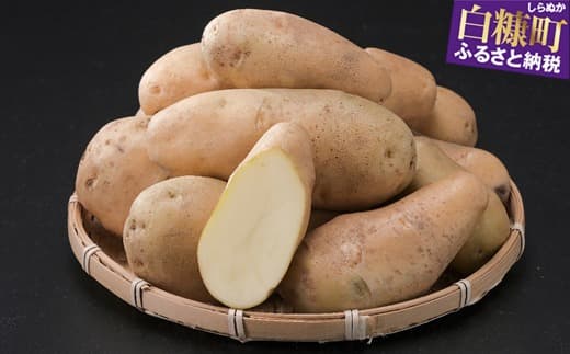 無農薬じゃがいも(メークイン)【5kg】_I007-0942