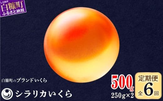 年6回お届け定期便 シラリカいくら(生いくら) 500g(250g×2) お好みに味付けができます いくら イクラ 生いくら 生イクラ 鮭いくら 小分け いくら醤油漬 鮭イクラ イクラ醤油漬 鮭 鮭卵 いくら醤油漬け ikura 醤油いくら 醤油イクラ 冷凍いくら いくら無添加 いくら鮭 ふるさと納税 ふるさとチョイス チョイス 北海道 白糠町_K186-0924