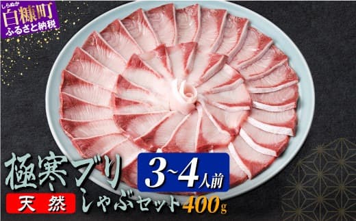 天然極寒ブリ ブリしゃぶセット 400g(3~4人前) ぶり ぶりしゃぶ ブリしゃぶ ぶり刺身 ブリ刺身 刺身 極寒ぶり 寒ブリ 寒ぶり しゃぶしゃぶ 国産ぶり 国産 天然ぶり 天然ブリ 冷凍 冷凍ぶり 冷凍ブリ 鍋 なべ 新鮮 海鮮 鮮度 北海道 北海道ぶり 北海道産 人気 ふるさと納税 ふるさとチョイス 北海道 白糠町_A024-0953