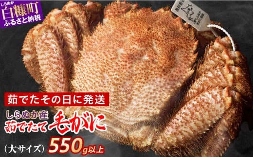 しらぬか産 茹でたて大サイズ毛がに 550g以上 毛ガニ 毛がに カニ かに 蟹 ふるさと納税 ふるさとチョイス 北海道 白糠町_I070-0561