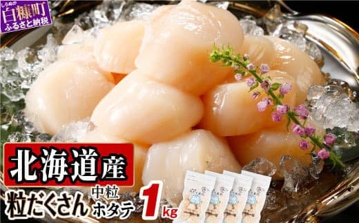 オホーツク産お刺身用ホタテ 1kg (250g×4) ホタテ ほたて ほたて貝柱 ホタテ貝柱 北海道産ほたて 北海道産ホタテ 貝柱 玉冷 送料無料 魚介類 海鮮 特大 帆立 天然 おすすめ 人気 ランキング 冷凍ほたて 冷凍ホタテ 大粒帆立 帆立貝柱 冷凍 天然ほたて 天然ホタテ ふるさとチョイス 北海道 白糠町_K013-0836-A