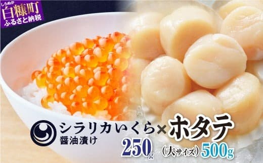 シラリカいくら【醤油漬け】250g × ホタテ 500g 250g×2 海鮮丼セット いくら イクラ ikura 小分け 鮭 鮭卵 冷凍いくら 冷凍イクラ いくら醤油漬 醤油いくら 醤油イクラ ホタテ ほたて 緊急支援品 大粒 ほたて貝柱 ホタテ貝柱 冷凍ほたて 冷凍ホタテ 大粒帆立 帆立貝柱 人気 ふるさと納税 ふるさとチョイス 北海道 白糠町_I016-0837