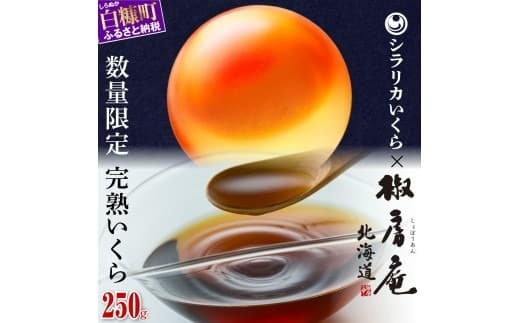 数量限定 完熟いくら【生いくら250g たれ70g】_I022-1624