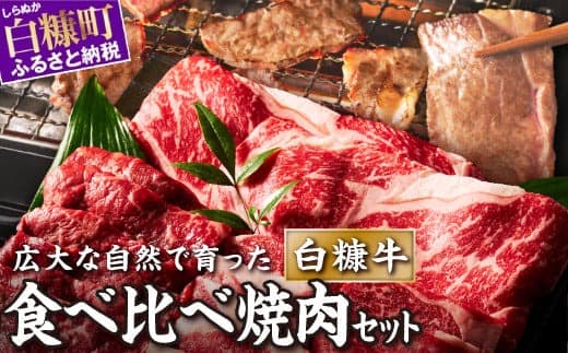 北海道産 牛肉 500g ふるさと納税 焼肉 ふるさと 焼き肉 焼肉 焼肉セット 訳あり 不揃い バラ モモ 小分け 便利 3種 セット 食べ比べ 人気 ランキング おすすめ 家庭用 贈答用 ギフト 白糠牛 北海道 白糠町_L010-1437_L010-1437