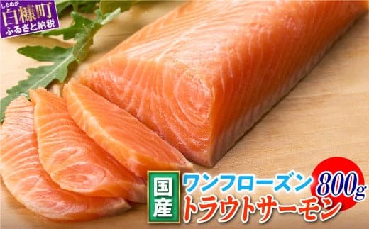 国産 ワンフローズン 800g トラウトサーモン 鮭 サーモン さけ シャケ しゃけ sake カルパッチョ サーモン丼 ムニエル 生食用 刺身 お刺身 刺し身 産地 人気 高級 大満足 美味しい 贈答 魚介類 海鮮 冷凍 厚切り 薄切り 鮮度 HACCP ふるさと納税 ふるさとチョイス チョイス 北海道 白糠町_T011-1232