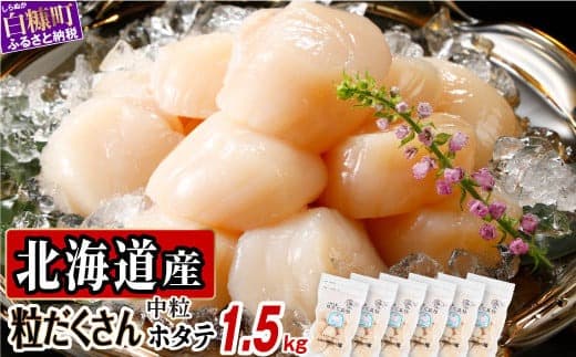 オホーツク産お刺身用ホタテ 1.5kg (250g×6) ホタテ ほたて ほたて貝柱 ホタテ貝柱 北海道産ほたて 北海道産ホタテ 貝柱 玉冷 送料無料 魚介類 海鮮 特大 帆立 天然 おすすめ 人気 ランキング 冷凍ほたて 冷凍ホタテ 大粒帆立 帆立貝柱 冷凍 天然ほたて 天然ホタテ ふるさとチョイス 北海道 白糠町_K019-0720