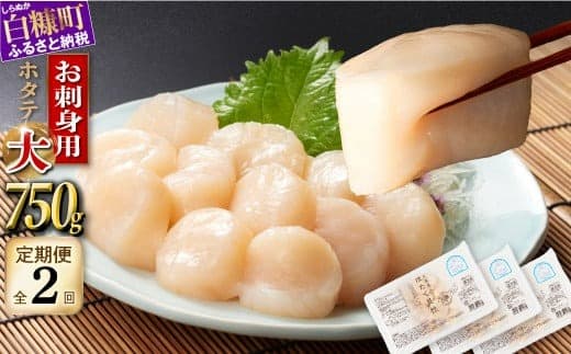 年2回!オホーツク産お刺身用ホタテ大サイズ(3S) 750g (250g×3) 定期便 ホタテ ほたて 訳あり 大粒 訳ありほたて 訳ありホタテ ほたて貝柱 ホタテ貝柱 北海道産ほたて 北海道産ホタテ 海鮮 特大 大粒ほたて 大粒ホタテ 北海道 おすすめ 人気 ランキング 帆立 天然 ふるさと納税 冷凍ほたて 冷凍ホタテ ふるさとチョイス 北海道産 国産 冷凍帆立_K024-1048