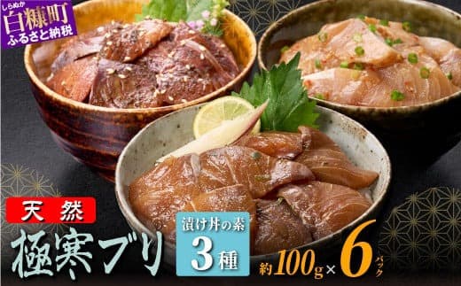 天然極寒ブリ 厳選3種漬け丼の素セット 600g ぶり ぶり刺身 ブリ刺身 刺身 寒ブリ 寒ぶり 国産ぶり 国産 天然ぶり 天然ブリ 漬け丼 りゅうきゅう 新鮮 海鮮 鮮度 冷凍 たんたか しそ 冷凍ぶり 冷凍ブリ 北海道 北海道ぶり 北海道産 人気 ふるさと納税 ふるさとチョイス 北海道 白糠町_A014-0956