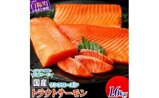 国産 ワンフローズン 1.6kg トラウトサーモン 鮭 サーモン さけ シャケ しゃけ sake カルパッチョ サーモン丼 ムニエル 生食用 刺身 お刺身 刺し身 産地 人気 高級 大満足 美味しい 贈答 魚介類 海鮮 冷凍 厚切り 薄切り 鮮度 HACCP ふるさと納税 ふるさとチョイス チョイス 北海道 白糠町_T022-1479