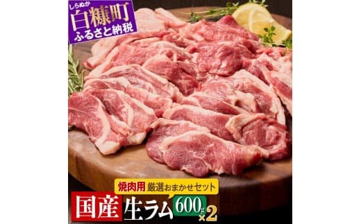 ラム肉 焼肉セットA 600g × 2パック 羊肉 ジンギスカン ラムチョップ スペアリブ 焼肉 焼肉セット ふるさと納税 ふるさとチョイス 北海道 白糠町_I045-0444
