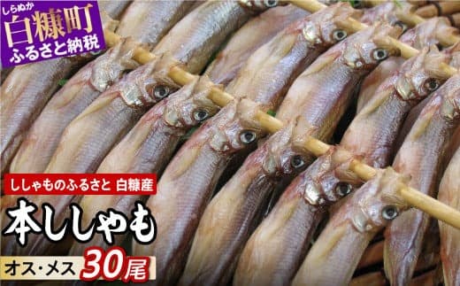しらぬか産 本ししゃも 30尾 オスメス 各15尾 ししゃも シシャモ 子持ちししゃも 卵 魚卵 魚 魚介 国産 北海道 北海道産 ふるさと納税_A022-1026