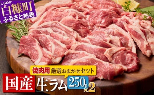 焼肉用 ラム肉 スライス 250g × 2パック オリジナルスパイス 10g 生ラム 羊肉 ジンギスカン ラムチョップ スペアリブ 焼肉セット BBQ ふるさと納税 ふるさとチョイス 北海道 白糠町_I020-0442