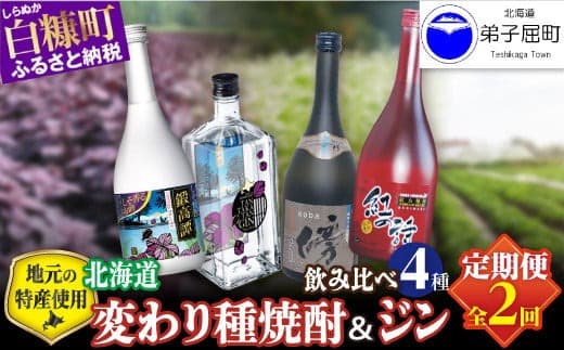 【定期便】焼酎3種 × クラフトジン 飲み比べ 720ml 6本 700ml セット_I031-1393