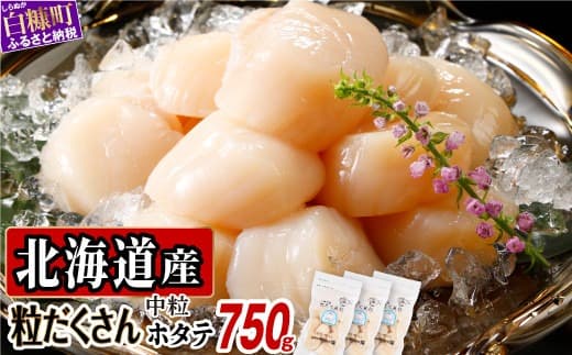 オホーツク産お刺身用ホタテ 750g (250g×3) ホタテ ほたて ほたて貝柱 ホタテ貝柱 北海道産ほたて 北海道産ホタテ 貝柱 玉冷 送料無料 魚介類 海鮮 特大 帆立 天然 おすすめ 人気 ランキング 冷凍ほたて 冷凍ホタテ 大粒帆立 帆立貝柱 冷凍 天然ほたて 天然ホタテ ふるさとチョイス 北海道 白糠町_K011-0708