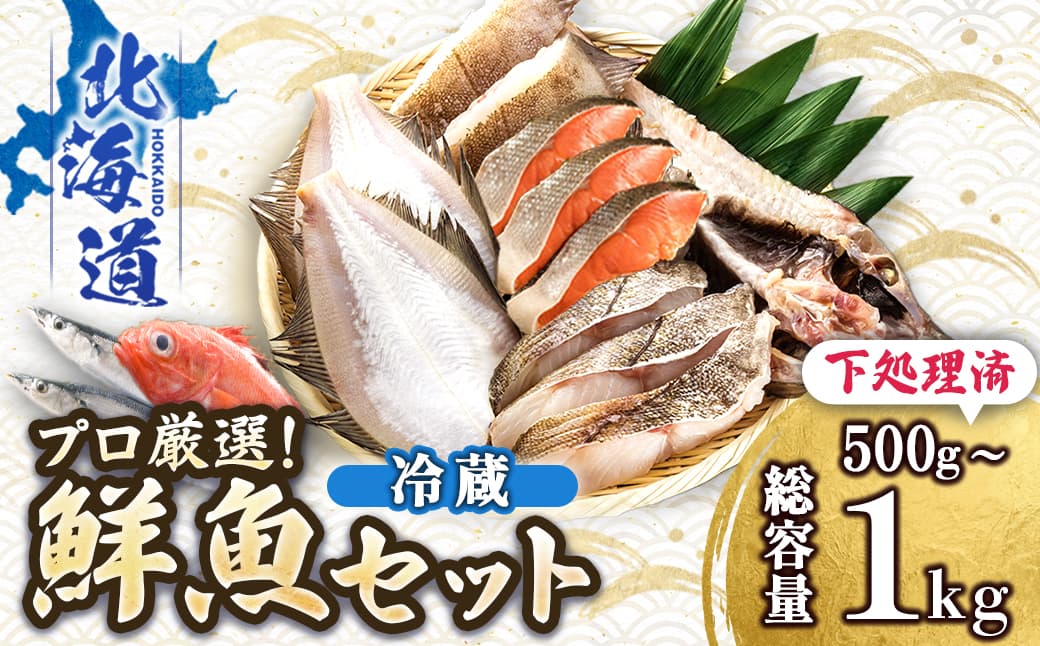 【12/21まで年内お届け】プロ厳選 北海道産 天然 鮮魚セット <冷蔵> 500g~1kg 鮮魚ボックス 詰め合わせ 刺身 下処理 切り身 料理に 人気 ヒロセ 産地直送 魚介 海鮮 年内配送 年内発送 北海道 釧路町 釧路超 特産品