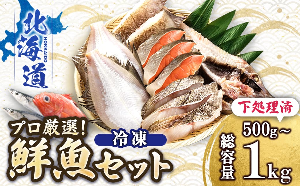 【12/21まで年内お届け】プロ厳選 北海道産 天然 鮮魚セット <冷凍> 500g~1kg 鮮魚ボックス 詰め合わせ 刺身 下処理 切り身 料理に 人気 ヒロセ 産地直送 魚介 海鮮セ 年内配送 年内発送 北海道 釧路町 釧路超 特産品