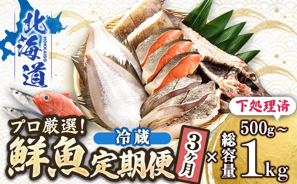 【定期便 3ケ月連続】 お魚の目利きのプロにお任せ!北海道産(国産) 天然 鮮魚 約500g~1kg(釧路の鮮魚セット) 産地直送 冷蔵 冷蔵便 刺身 セット 鮮魚セット 鮮魚ボックス 北海道 釧路町 釧路超 特産品
