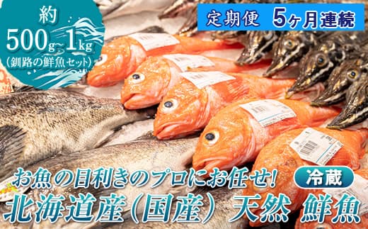 【定期便 5ケ月連続】 お魚の目利きのプロにお任せ!北海道産(国産) 天然 鮮魚 約500g~1kg(釧路の鮮魚セット) 産地直送 冷蔵 冷蔵便 刺身 セット 鮮魚セット 鮮魚ボックス 北海道 釧路町 釧路超 特産品