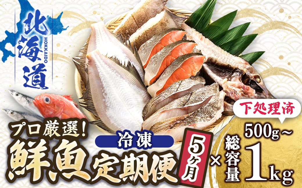 【定期便 5ケ月連続】 お魚の目利きのプロにお任せ!北海道産(国産) 天然 鮮魚 約500g~1kg(釧路の鮮魚セット) 鮮魚 刺身 セット 産地直送 定期便 海鮮 冷凍 冷凍便 北海道 釧路町 釧路超 特産品