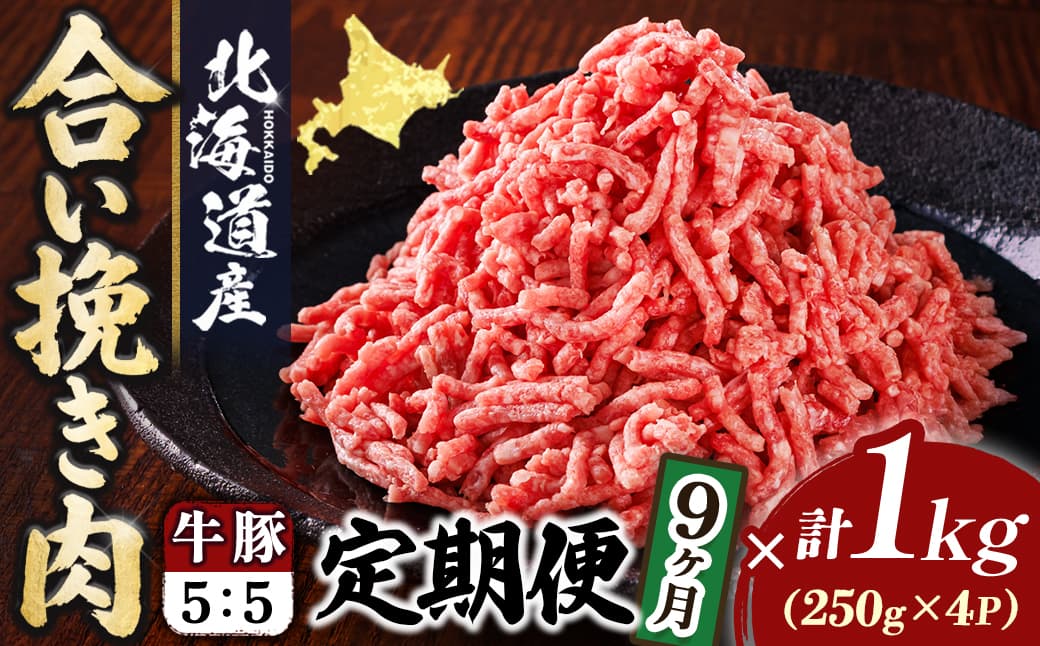 【定期便 9ヶ月連続】北海道産 合い挽き肉 合計1kg(牛5:豚5) 豚肉のコク旨ひき肉 挽肉 挽き肉 ひき肉です 合挽肉 合挽き肉 豚 肉 豚肉 豚肉ミンチ 合挽豚肉 牛 肉 牛肉 牛肉ミンチ 合挽牛肉 合い挽き 小分け 一人暮らし セット おかず ハンバーグ 冷凍 定期便 肉 絶品 人気 ヒロセ 10万ほど 10万以下 北海道 釧路町 釧路超 特産品