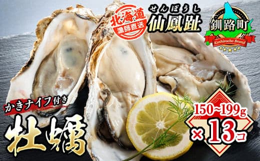 北海道 仙鳳趾名産 牡蠣 150g~199g×13コ+かきナイフ付き かき漁師直送K4-3 【センポウシ : 釧路町の東 厚岸湾の西 カキの名産地】 仙鳳趾 せんぽうし 牡蠣 生食用 殻付き 生牡蠣 絶品 産地直送 殻付き牡蠣 北海道 釧路町 釧路超 特産品