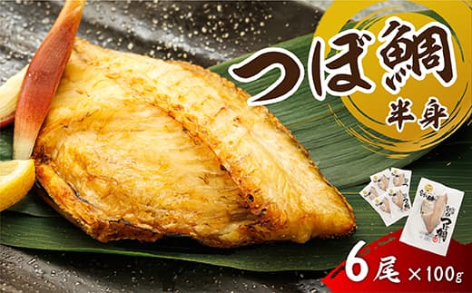 干物界の最高級魚 厳選した つぼ鯛 半身(100g×6尾)| ツボダイ ツボ鯛 一夜干し 干物 ひもの 魚干物 つぼだい 無添加 小分け 個包装 白身魚 焼魚 焼き魚 魚 冷凍 スピード発送 すぐ届く 魚干物 海鮮 絶品 人気 笹谷商店 直営 釧之助本店 せんのすけ 高級 すぐ発送 北海道 釧路町 釧路超 特産品