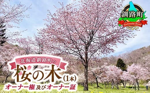 北海道釧路町の桜の木(1本)のオーナー権及びオーナー証<植樹開催&プレートお届け時期:2027年5月ごろ>| 北海道 釧路町 別保公園 桜の木 桜の苗 桜の苗木 桜 さくら 自然 保護 植樹体験 体験型 体験 体験型 北海道 先行予約 結婚 誕生 就職 退職 記念 想い出 先行予約 2027年 予約 令和9年 北海道 釧路町 釧路超 特産品