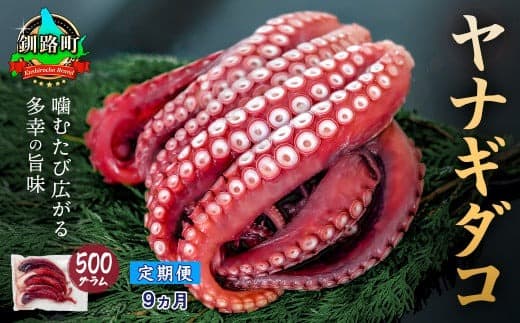 【定期便9ヶ月】ヤナギダコ500g【産地直送】プリプリ食感!釧路町昆布森産 ヤナギダコ|噛むたびに広がる多幸の旨味 お刺身 鍋 煮物に最適 栄養満点 贈答用 にも最適 漁師直送 鮮度抜群 蛸 タコ たこ 足 刺身 たこやき たこ唐揚げ 冷凍 北海道 釧路町 釧路超 特産品