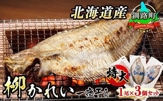 【12/21まで年内お届け】北海道産 特大 柳かれい 一夜干し 1尾×3個セット | 焼魚 焼き魚 セット ひもの 冷凍 魚介類 海鮮 絶品 人気 笹谷商店 直営 釧之助本店 せんのすけ 高級 年内配送 年内発送 北海道 釧路町 釧路超 特産品