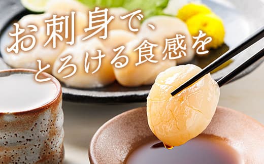 【定期便 3ケ月連続】北海道産 ホタテ貝柱 (約250g×2コ 計500g) 帆立 ホタテ ほたて 貝柱 冷凍 刺身 刺し身 小分け ホタテ貝柱 刺身ホタテ 刺身 冷凍 セット 産地直送 魚介類 海鮮 絶品 人気 ヒロセ 60000円以下 定期便 4回 4か月 海鮮定期便 北海道 釧路町 釧路超 特産品