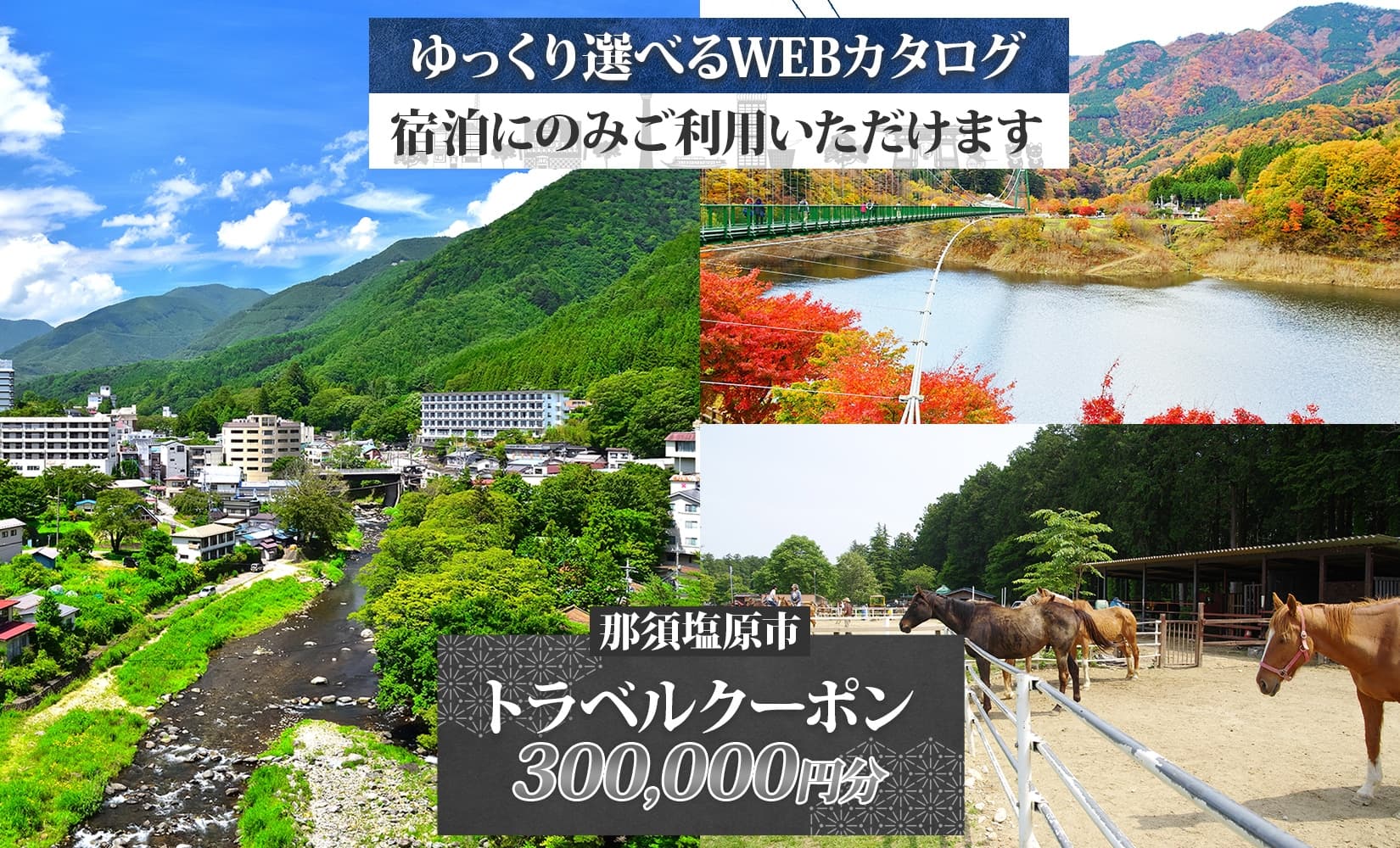 那須塩原市 後から選べる旅行Webカタログで使える! 旅行クーポン(300,000円分)旅行券 宿泊券 ns124-004 【宿泊 旅行 チケット ワンちゃん 犬連れ 温泉 ビジネス ホテル 宿】 (管理コード:ns124-004)