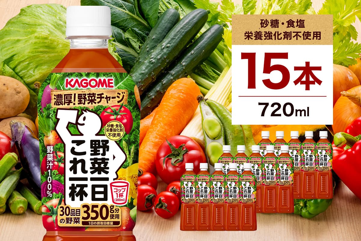 カゴメ 野菜一日これ一杯 720mlPET×15本【 飲料 野菜ジュース 栃木県 那須塩原市 】 ns001-032 (管理コード:ns001-032)