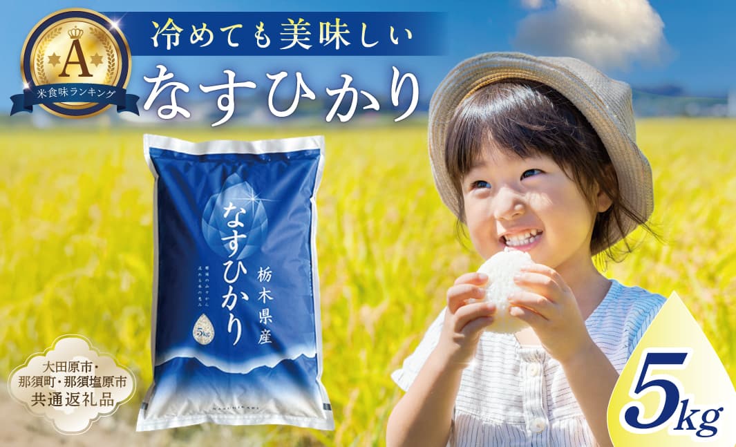 【大田原市・那須塩原市・那須町共通返礼品】<米>令和7年産 栃木県産 なすひかり 5kg JAなすの産地直送 ns005-001-5 【お米 大粒 ごはん おにぎり 国産 白米】 (管理コード:ns005-001-5)