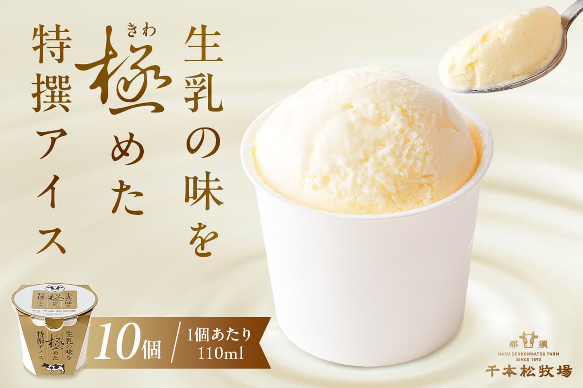 生乳の味を極めた特撰アイス10個セット 【千本松牧場】 ns025-011-10 【お菓子 スイーツ 詰め合わせ アイスクリーム 牛乳 ギフト】 (管理コード:ns025-011-10)