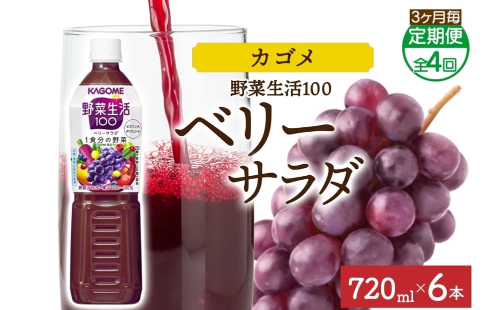 【定期便】3ヵ月毎全4回野菜生活100 ベリーサラダ 720mlPET ns038-075【ペットボトル 野菜 果実 ベリー ミックスジュース β-カロテン フルーティー 紫野菜 KAGOME】(管理コード:ns038-075)