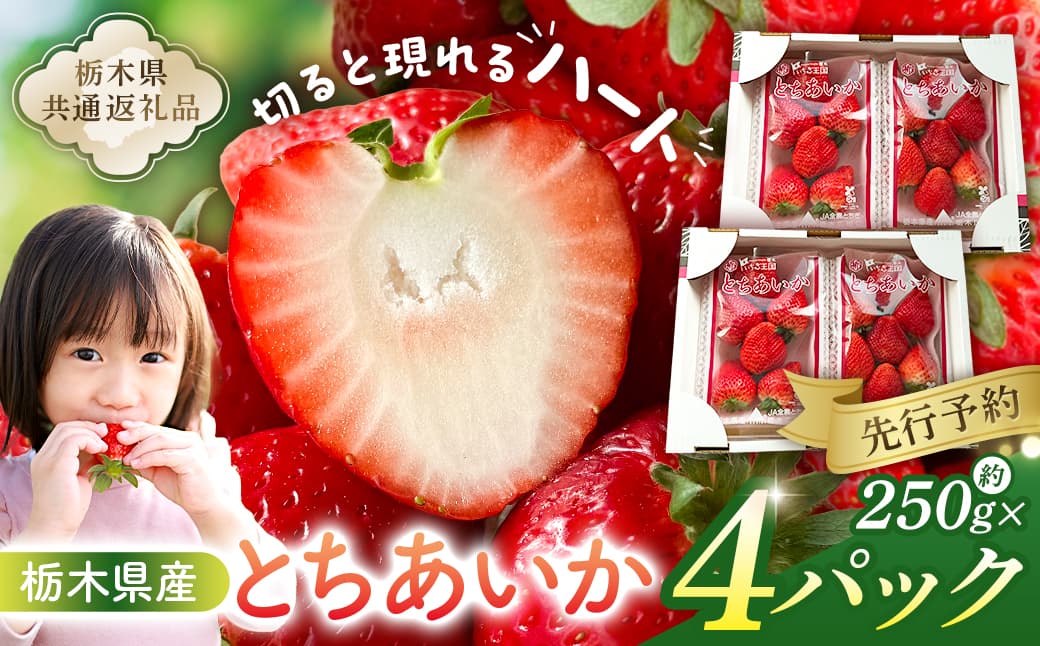 【先行受付】栃木県産 とちあいか約250g×4パック【栃木県共通返礼品】【2027年1月下旬~発送予定】 ns120-001 【果物 いちご とちあいか オリジナル品種 甘味 香り 国産 ブランド フルーツ】 (管理コード:ns120-001)