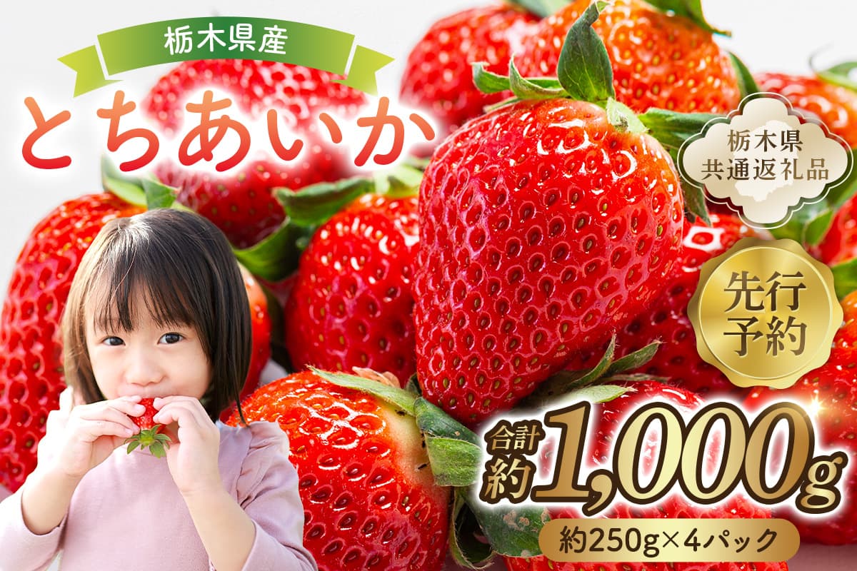 【先行予約】 栃木県産 とちあいか約250g×4パック 【栃木県共通返礼品】 ns120-001 【果物 いちご とちあいか オリジナル品種 甘味 香り 国産 ブランド フルーツ】 (管理コード:ns120-001)