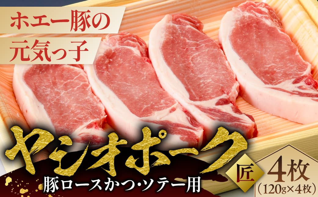 ヤシオポーク匠豚ロースかつ・ソテー用 ns145-004 【肉 豚肉 ロース かつ ソテー お肉 国産】 (管理コード:ns145-004)
