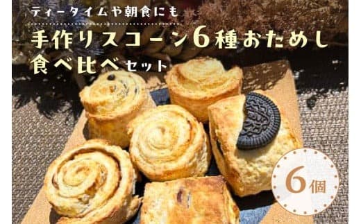 【ティータイムや朝食にも】手作りスコーン6種おためし食べ比べセット【 栃木県 那須塩原市 】 ns068-002 (管理コード:ns068-002)