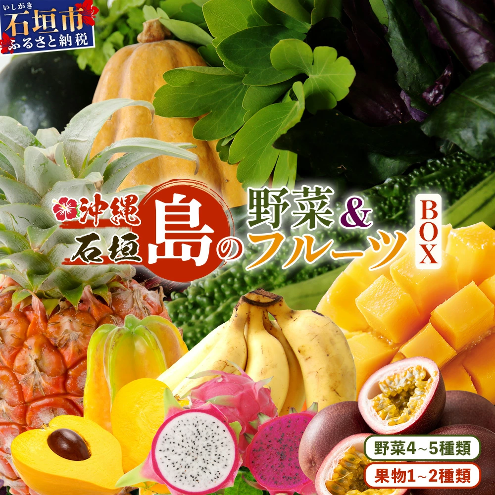 【夏のおすすめ特集】沖縄 石垣島 新鮮 島やさい・くだもの BOX 【 野菜・フルーツ 詰め合わせセット 】1箱 ≪お野菜4~5種類、フルーツ1~2種類≫