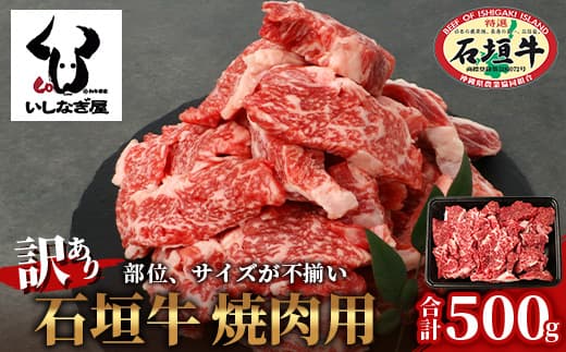 【訳あり】 石垣牛 焼肉用 (不揃い) 500g 【訳アリ 沖縄県 石垣島 石垣牛 国産 黒毛和牛 牛肉 牛 和牛 焼肉 BBQ 】AB-26