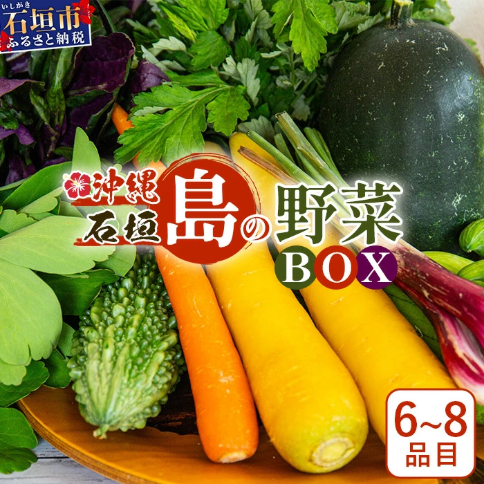 【夏のおすすめ特集】沖縄県 石垣島産 新鮮 やさい BOX 【 島の野菜 詰め合わせセット 】1箱(定番・旬のお野菜6~8種類)