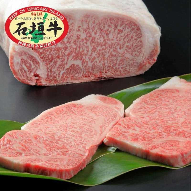 石垣牛 特選 サーロインステーキ 250g×2枚 E-51