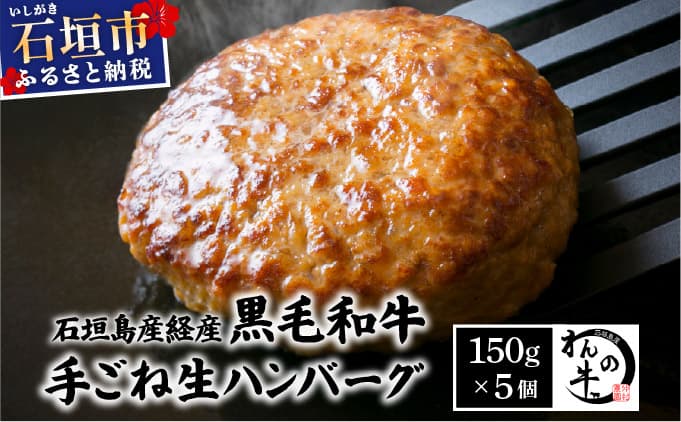 <わんの牛>石垣島産経産黒毛和牛手ごね生ハンバーグセット 150g×5個 NA-04