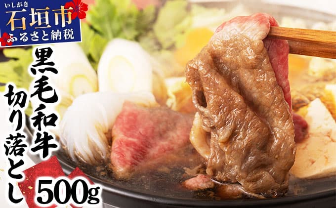 石垣島産経産黒毛和牛 1頭切り落とし 500g E-52