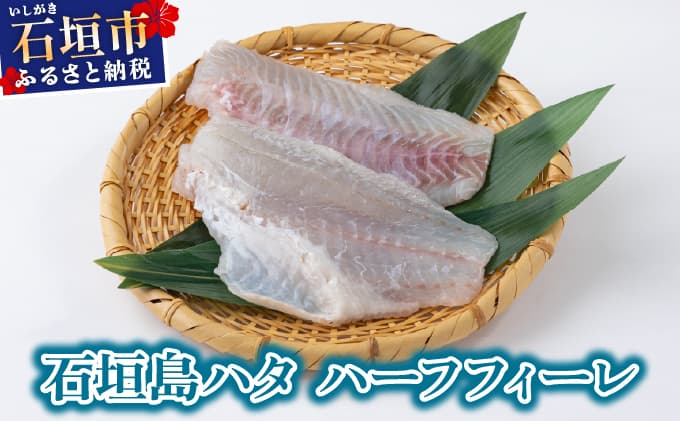 石垣島 ハタ ハーフフィーレ | 勝水産 ミーバイ ヤイトハタ 沖縄県石垣市 石垣 沖縄 石垣市 石垣島 KS-15