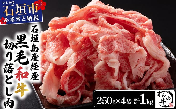 <わんの牛>石垣島産経産黒毛和牛 切り落とし 250g×4袋 合計1kg NA-02