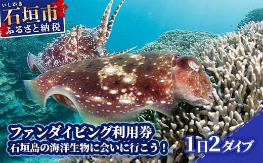 ファンダイビング利用券 石垣島のマンタ・サンゴ・ウミガメに会いに行こう!【沖縄県 石垣市 ダイビング 利用券 海 ダイバー マンタ 珊瑚 ウミガメ 旅行】YD-1-1 (管理コード:YD-1)
