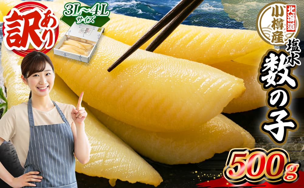 北海道 小樽産 訳あり 塩水 数の子 500g 国産 冷蔵 かずのこ 4Lサイズ 魚卵 お節 おせち